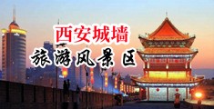 男生鸡巴捅入黑丝少妇逼逼视频中国陕西-西安城墙旅游风景区